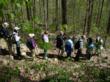 guided hike at the Trails and Trillium Festival by Mary Priestley